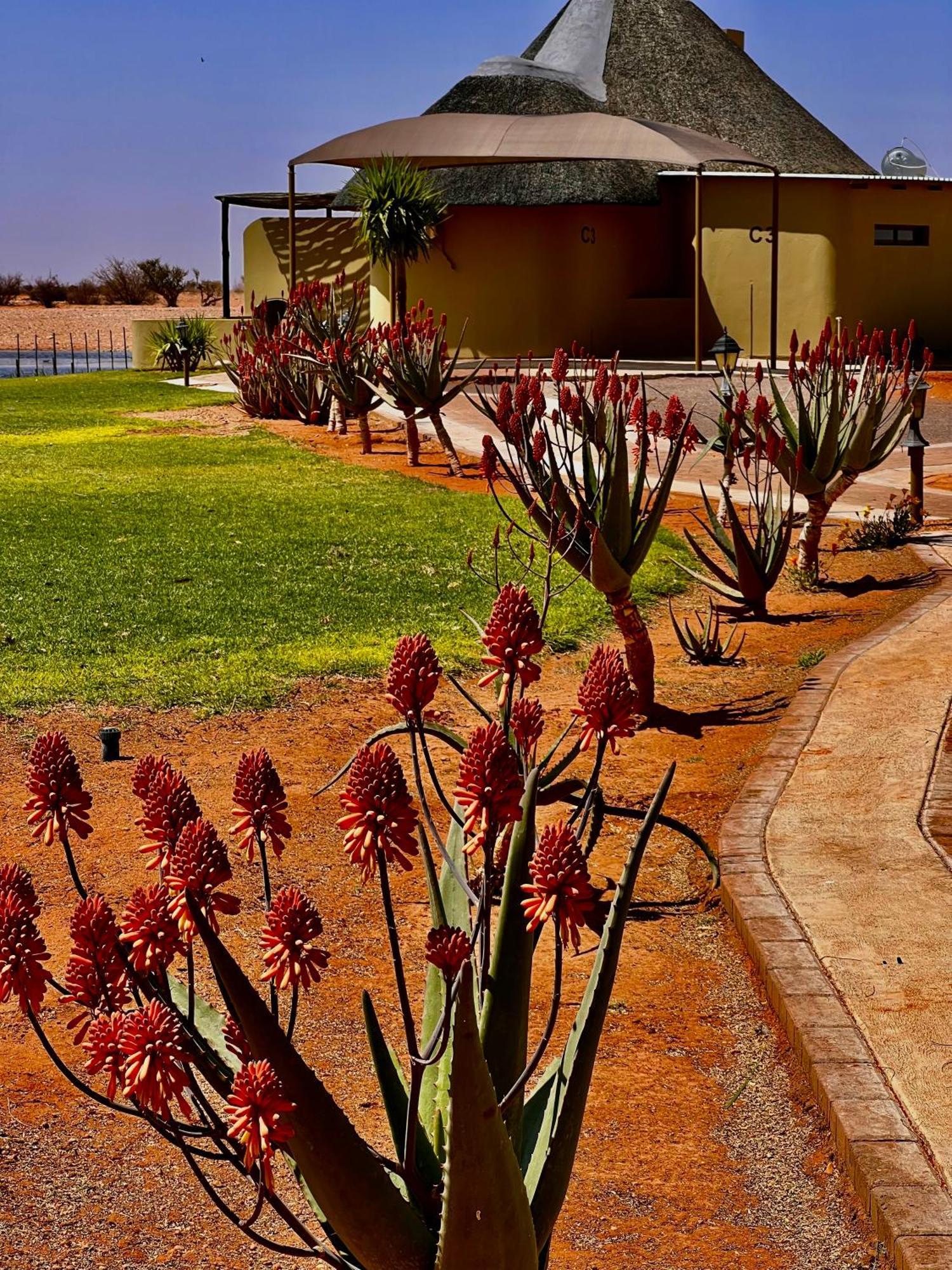 Lapa Lange Game Hospedaje Mariental Exterior foto